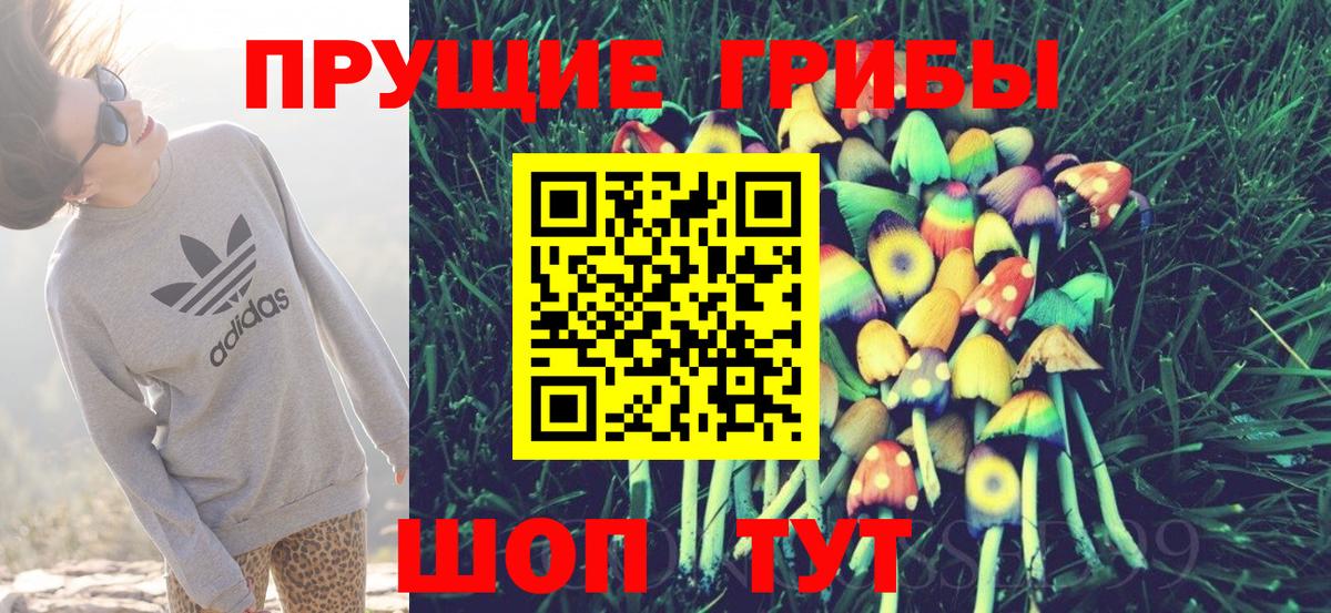 Гусь-Хрустальный  Псилоцибиновые грибы MAGIC MUSHROOMS  Галлюциногенные грибы мухоморы  Вход с VPN 
